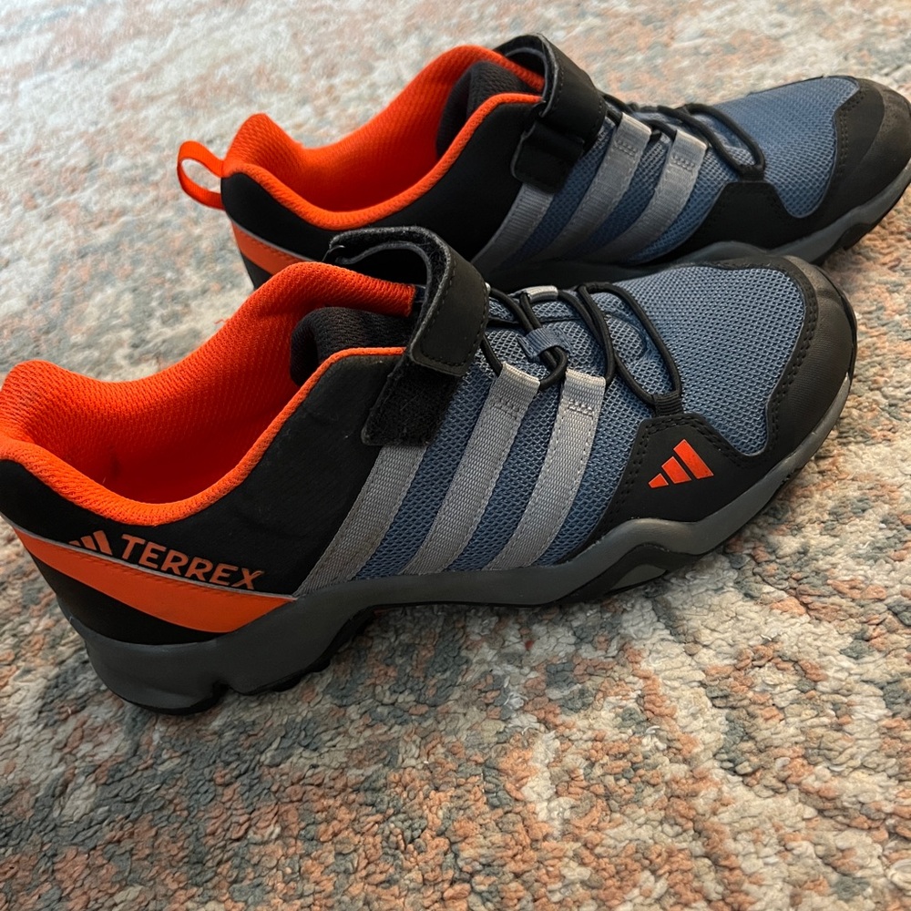 Adidas Terrex AX2R Blue and Gray Shoes